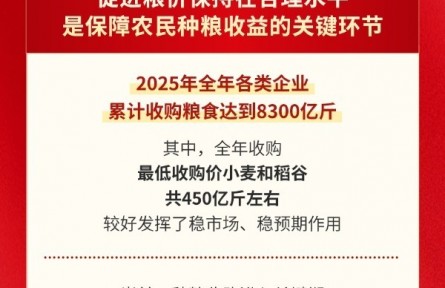 毫不放松抓好糧食生產(chǎn) 夯實糧食安全根基