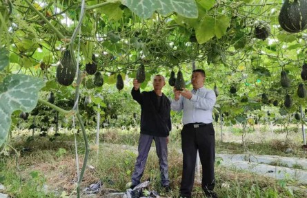 集體收入從不足3萬(wàn)到70余萬(wàn),這個(gè)“紅色村”靠什么逆襲?