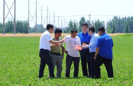 從“保險+期貨”看金融助農(nóng)的溫度與力量