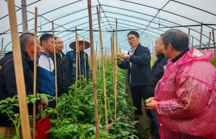 曾祥亮：扎根田野18年，他給莊稼當醫(yī)生