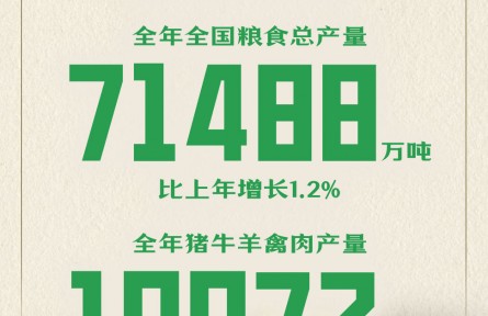 穩(wěn)、豐、增、快、升、優(yōu)！六個(gè)關(guān)鍵字看中國(guó)經(jīng)濟(jì)亮點(diǎn)