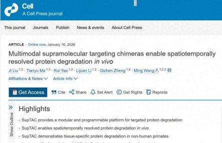 中國科學院團隊破清除“致病蛋白”難題，有望延緩老年癡呆等疾病進展