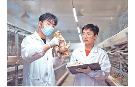 科技小院，扎根鄉(xiāng)土茁壯生長