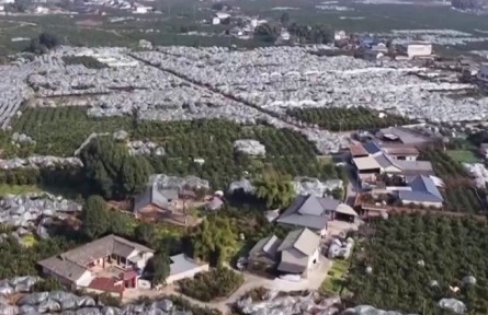 我國(guó)優(yōu)質(zhì)農(nóng)產(chǎn)品供給能力穩(wěn)步提升