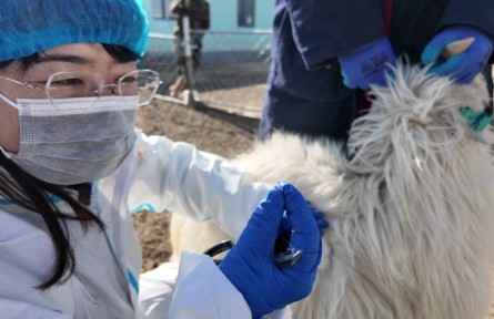 每日一星|谷英：羊圈里的科學(xué)家