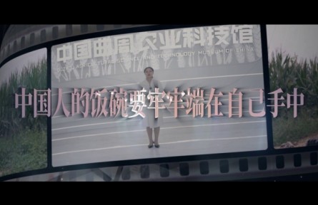 中國人的飯碗要牢牢端在自己手中