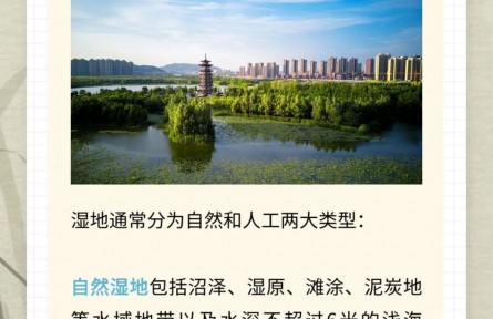 濕地何以被稱為“地球之腎”？