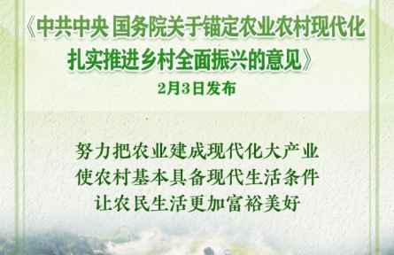 2026年中央一號(hào)文件發(fā)布