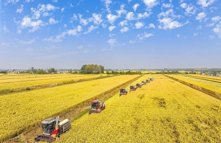 首提“常態(tài)化精準(zhǔn)幫扶”！2026年中央一號文件釋放哪些“新信號”？