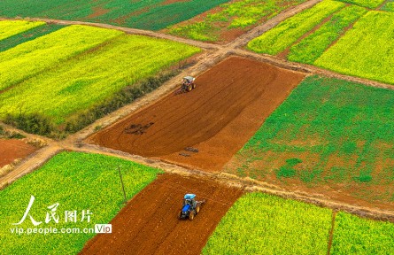 江西樟樹：立春將至農(nóng)事忙