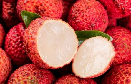 無核荔枝是用了絕育藥、打了激素？