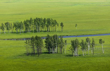科技名詞|生態(tài)修復(fù) ecological restoration