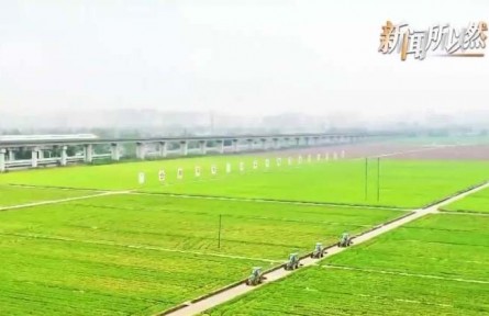 糧食明明“夠吃” 為何仍要繼續(xù)提升產(chǎn)能？