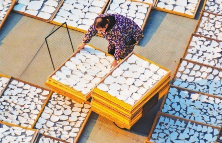 林下經(jīng)濟繪新篇