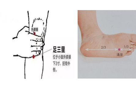 健康問答|春季養(yǎng)生要點有哪些？