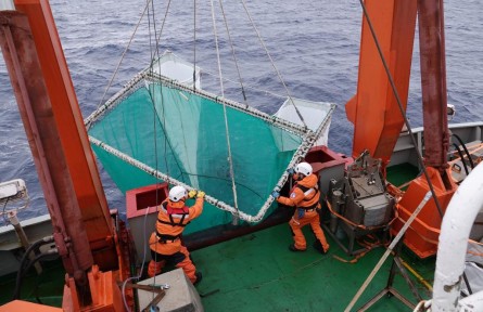 南極“糧倉”！我國磷蝦研究促進產(chǎn)業(yè)升級