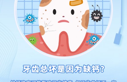 牙齒總壞，真的是因為缺鈣嗎？