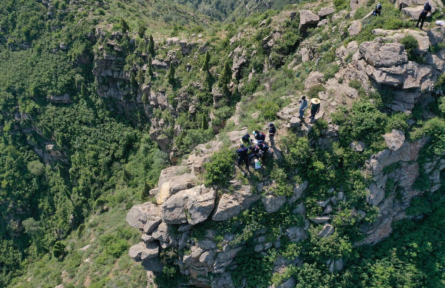 用中國草種守護中國草原