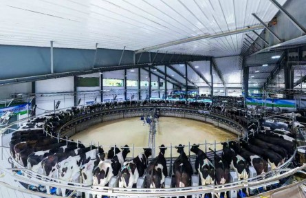 一杯放心奶背后的殷殷囑托