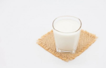 辟謠|喝牛奶養(yǎng)胃？