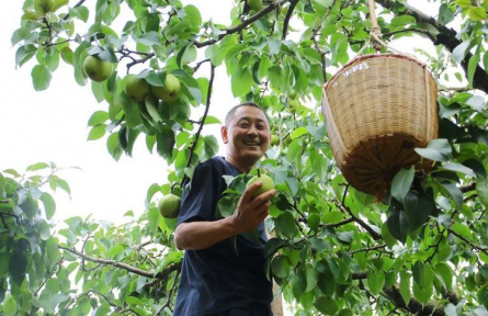 云南昆明：地理標志產(chǎn)品成“金名片” 年產(chǎn)值超過2594億元