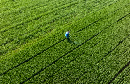 科技名詞|綠色農(nóng)藥 green pesticide