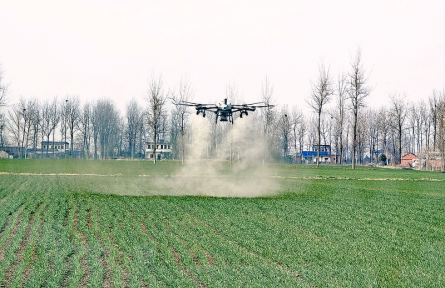河南正陽：麥田春管忙