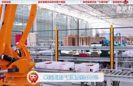 解鎖雄安智慧農(nóng)業(yè)的“隱藏技能”