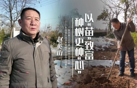 趙英山：育“苗”致富 種樹更種“心”
