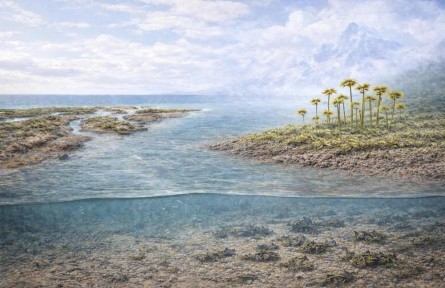 陸地上最早何時大規(guī)模出現植物？科學家有新發(fā)現