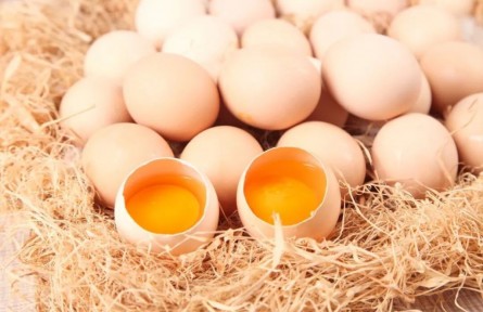 辟謠|土雞蛋更安全有營養(yǎng)？