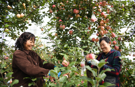 革命老區(qū)振興發(fā)展 revitalization and development of old revolutionary base areas