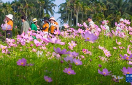 一冊(cè)繁花 頁(yè)頁(yè)生香