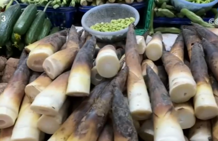 春季消費市場“春鮮”熱潮涌動 “春日經濟”活力十足