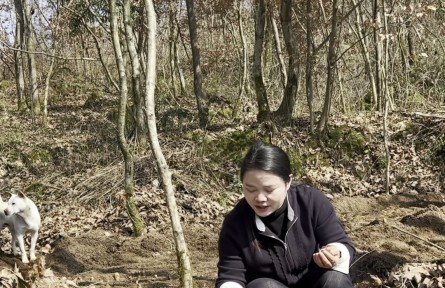 天麻種植技術(shù)，看完視頻，技術(shù)就是你的