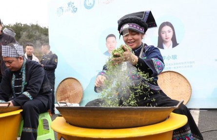 黔南都勻：春山采新芽 跨界謀新篇！