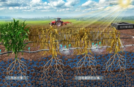 用測地震的方式來測農(nóng)田？他們發(fā)現(xiàn)了新情況