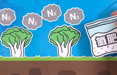 綠色固氮技術(shù)讓莊稼實現(xiàn)“氮自由”