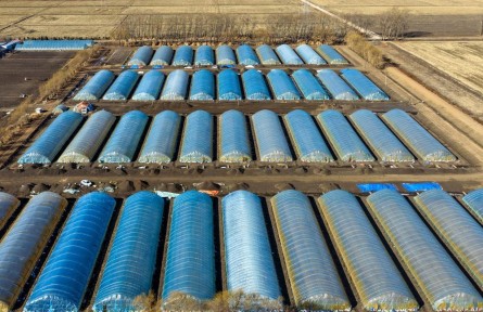 沃野染新綠 春耕繪豐景——從春耕一線看“十五五”開局農(nóng)業(yè)生產(chǎn)新氣象