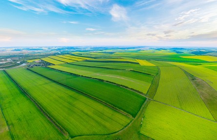 科技名詞|綠色農(nóng)業(yè) green agriculture