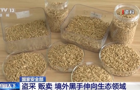 盜采、販賣……境外黑手伸向生態(tài)領域，國家安全機關(guān)通報