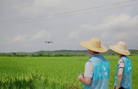 “三農(nóng)”家底大摸排，這次有啥不一樣？