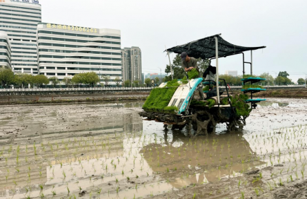 廣東白云供銷(xiāo)：搶抓降雨間歇！全力打好春耕主動(dòng)仗