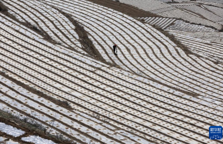 黃土高原上農(nóng)耕忙