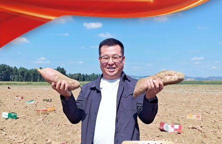 馬建波：像紅薯藤一樣 把根深深扎在土地里