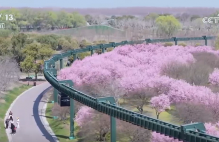 從“種田地”到“種風景” “花樣經(jīng)濟”新業(yè)態(tài)奏響鄉(xiāng)村振興“春日曲”