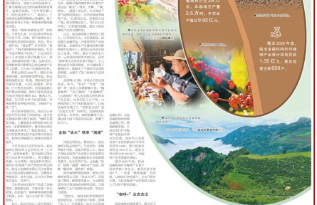 做精每一?？Х榷?《人民日報海外版》整版點贊云南臨滄咖啡
