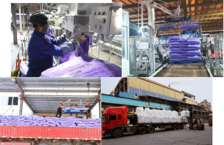 六國(guó)化工4.6萬(wàn)噸化肥“糧草”奔赴全國(guó)田間