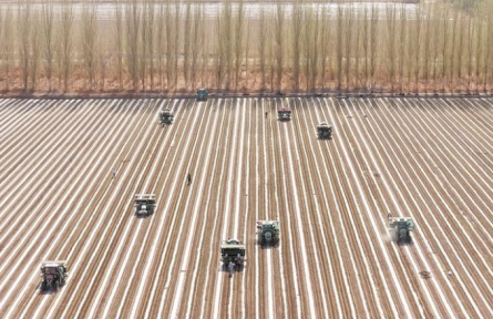 北斗指路播下千行綠 鐵牛奮蹄耕出萬畝春——從春耕春播看兵團農(nóng)機裝備升級實踐