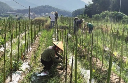 打好凈土保衛(wèi)戰(zhàn) 守護(hù)耕地安全